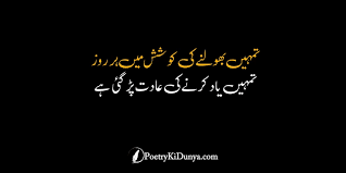Best Urdu Poetry Collection